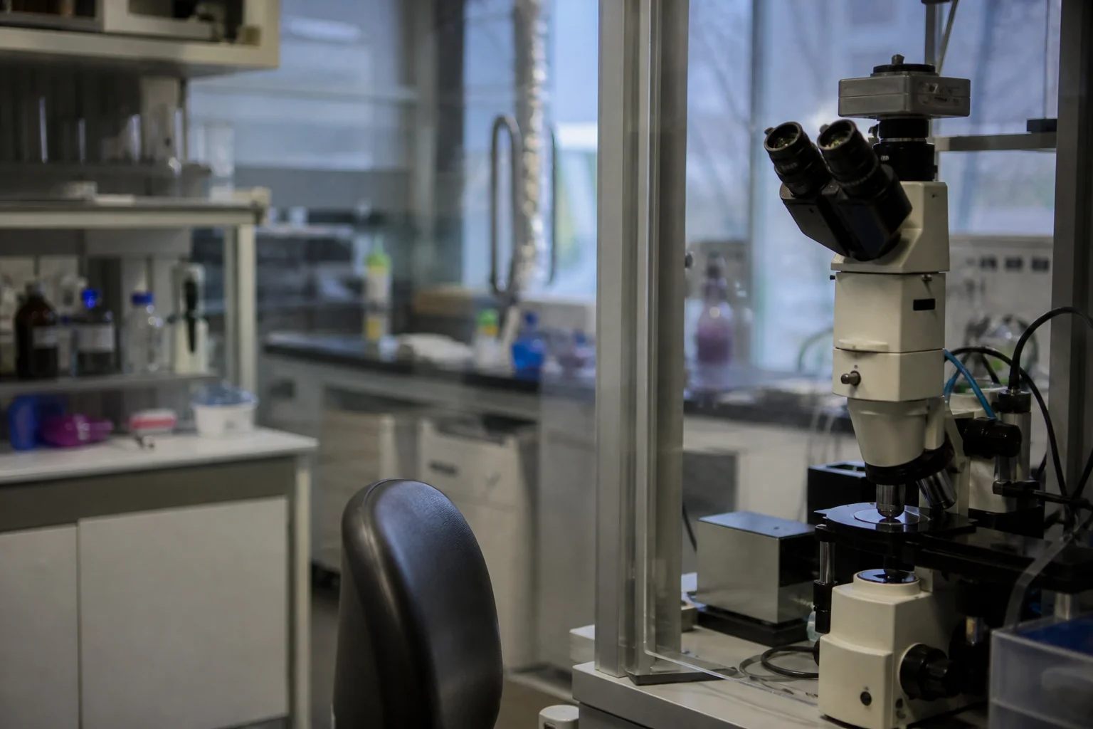 Q-BIOMED Hub Puts Quantum Biology on a Formal Footing