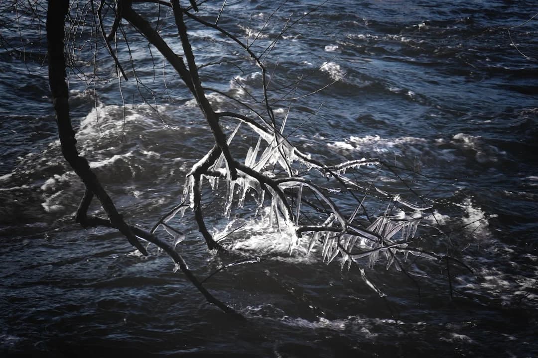 Living Water: Poetry, Art and the Fight for Clean Rivers