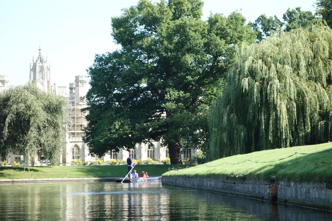 Cambridge Folk Festival 2026 revamp: City-wide plan unveiled