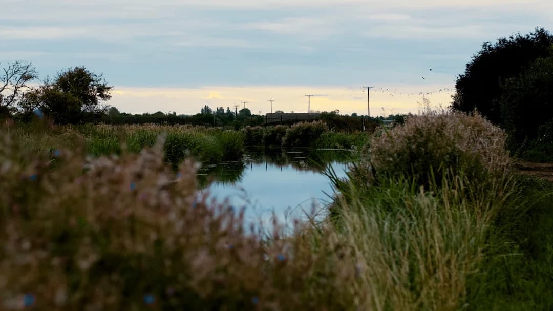 Cover Image for Chalk Stream Cambridge 2026 Urban Water Management Update