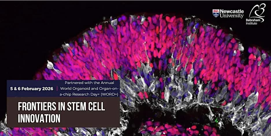 Cover Image for Frontiers in Stem Cell Innovation 2026: Cambridge Recap